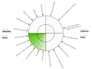 Dimensión social