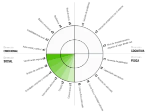 Dimensión social
