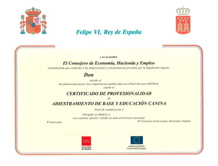 Certificado de profesionalidad en adiestramiento de base y educacion canina